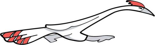 Road Runner Education